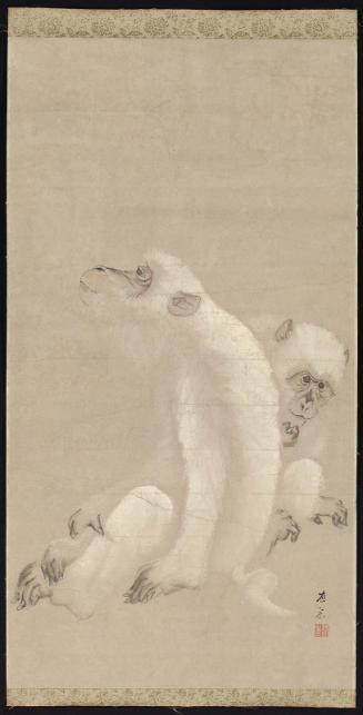 White Monkeys