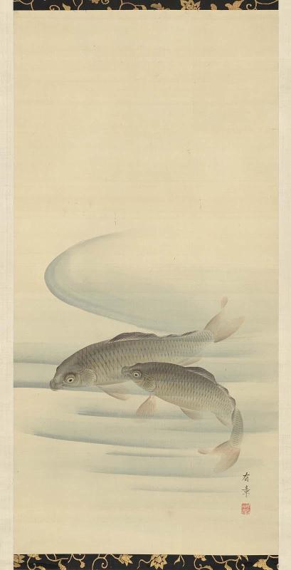 Carp