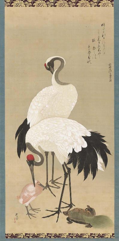 Cranes and Long-Haired Turtles