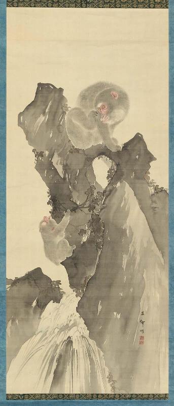 Monkeys Climbing Rocks