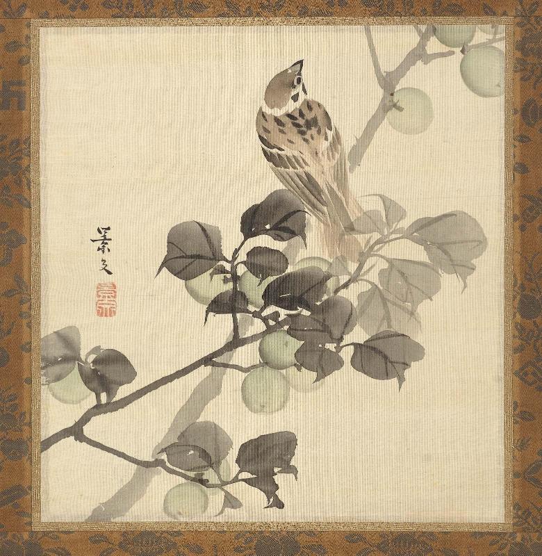 Sparrow on a Plum Tree