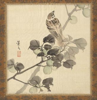 Sparrow on a Plum Tree
