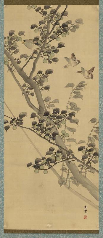 Birds and Plum Tree