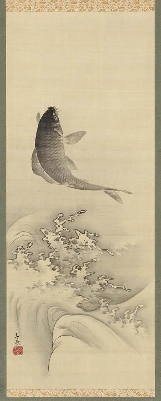 Carp Leaping