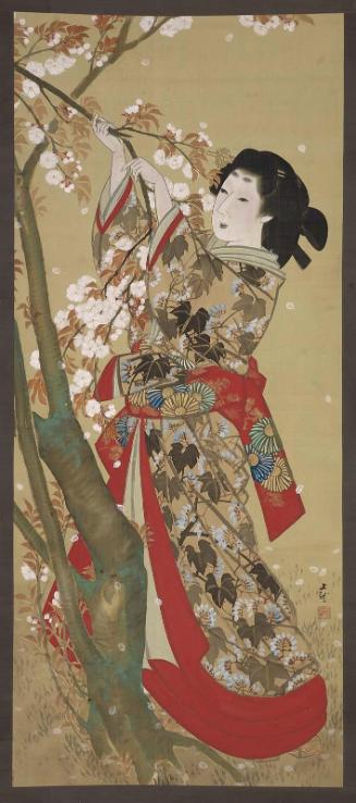 Woman Picking Cherry Blossoms