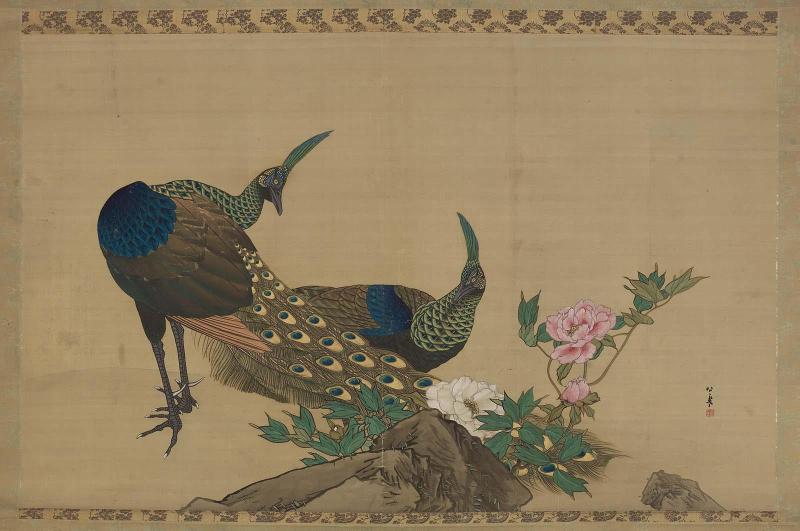 Peafowl and Peony