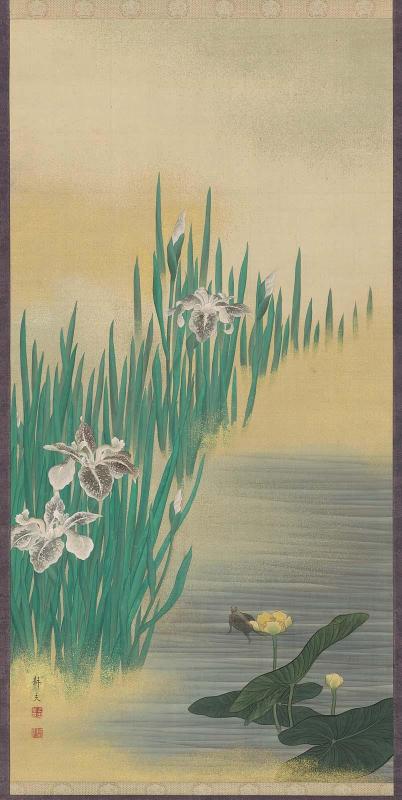 Irises, Water Plants, and Tortoise