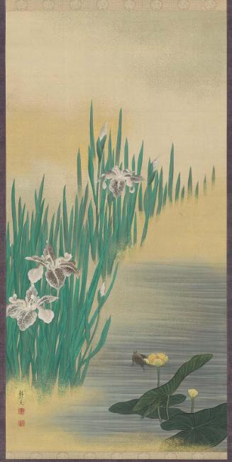 Irises, Water Plants, and Tortoise