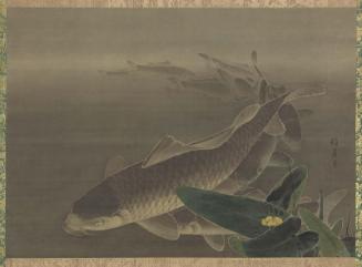 Carp and Yellow Water Lilies