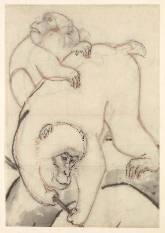 Monkeys