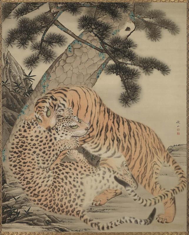 Tiger and Leopard Under a Pine Tree