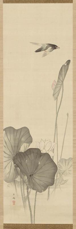 Cuckoo and White Lotus