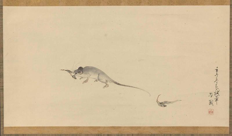 Rat with Dried Fish