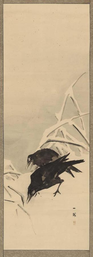 Crows In Snow