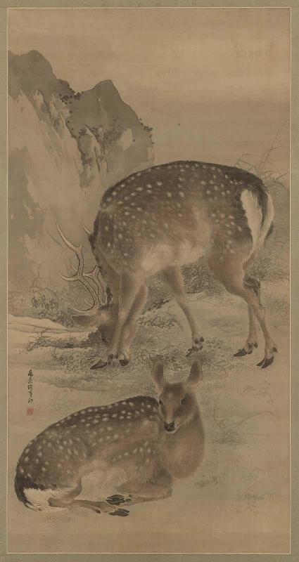 Deer