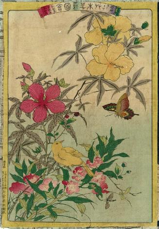 Armor Butterfly (Yoroichô) and Canary (Kanariya), with Red Hollyhocks (Kôshûki), Yellow Hollyhocks (Ôshûki), and Rose Balsam (Hôsenka), No. 10 from the series Plants and Trees, Flowers and Birds (Sômoku kachô zue)