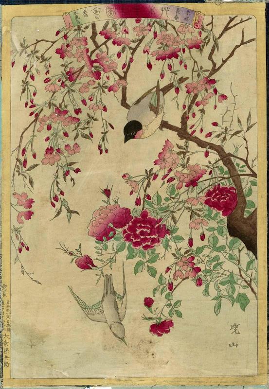 Weeping Cherry (Itozakura) and China Rose (Chôshun), with Warbler (Uguisu) and Mousebird (Kinezumidori), No. 15 from the series Plants and Trees, Flowers and Birds (Sômoku kachô zue)