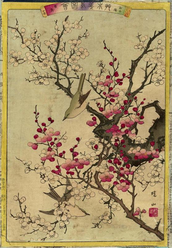Red and White Plum Blossoms (Kôhakubai) and Yellow Warbler (Kôchô), No. 16 from the series Plants and Trees, Flowers and Birds (Sômoku kachô zue)