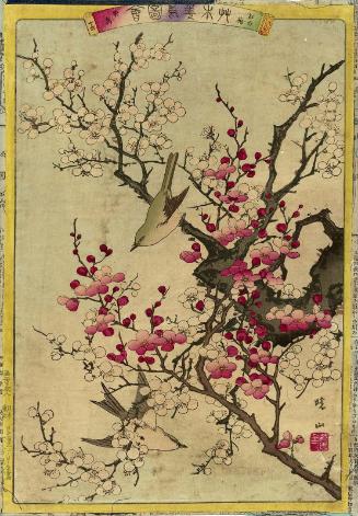Red and White Plum Blossoms (Kôhakubai) and Yellow Warbler (Kôchô), No. 16 from the series Plants and Trees, Flowers and Birds (Sômoku kachô zue)
