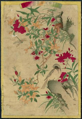 Oleander (Kyôchikutô), Gardenia (Sanshishibana), Lychnis (Sengeô, = Sennôge?), Flycatcher (Hitaki), No. 16 (?) from the series Plants and Trees, Flowers and Birds (Sômoku kachô zue)