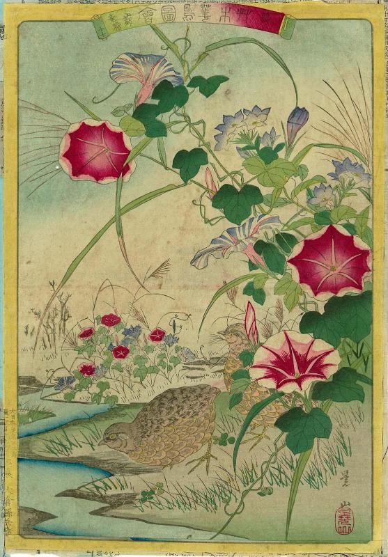 Quail (Uzura), Morning Glories (Asagao), Gentian (Ryûtan or rindô), No. 17 from the series Plants and Trees, Flowers and Birds (Sômoku kachô zue)