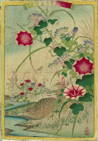 Quail (Uzura), Morning Glories (Asagao), Gentian (Ryûtan or rindô), No. 17 from the series Plants and Trees, Flowers and Birds (Sômoku kachô zue)