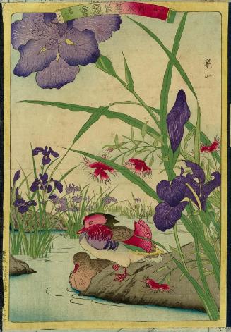 Iris (Hanashôbu), Wild Carnations (Nadeshiko), and Mandarin Ducks (Oshidori), No. 22 from the series Plants and Trees, Flowers and Birds (Sômoku kachô zue)