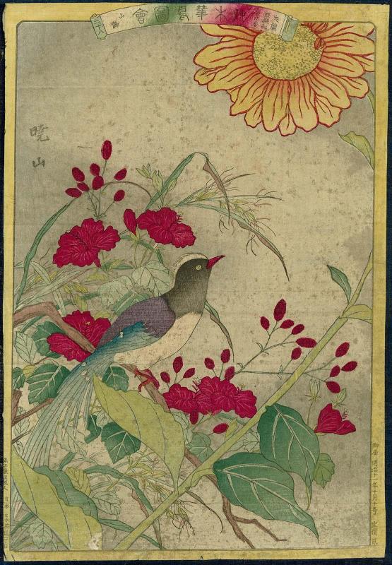 Orchid (Raran), Hibiscus (Shôdenkô), Saw-wort (Gomokukô), and Red-billed Blue Magpie (Sanjaku), No. 28 from the series Plants and Trees, Flowers and Birds (Sômoku kachô zue)