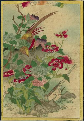 Hydrangeas (Kyûka), Poppies (Bijinsô), and Golden Pheasants (Kinkei), No. 25 from the series Plants and Trees, Flowers and Birds (Sômoku kachô zue)