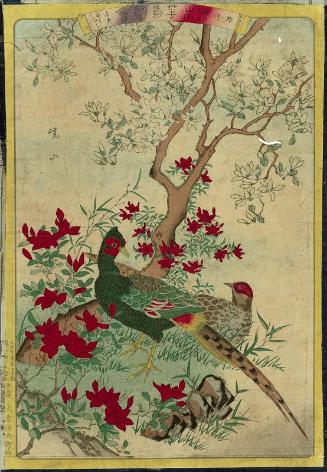 Pheasants (Kiji), Magnolia (Kobushi), and Azalea (Tsutsuji), unnumbered print from the series Plants and Trees, Flowers and Birds (Sômoku kachô zue)