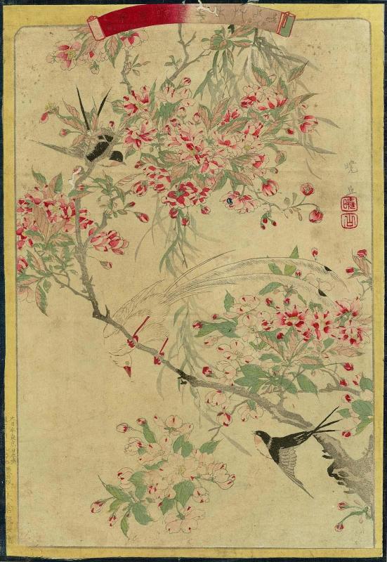 Magpie (Jutaichô), Swallows (Tsubame), Cherry and Willow (Sakura yanagi); No. 2 from the series Plants and Trees, Flowers and Birds (Sômoku kachô zue)