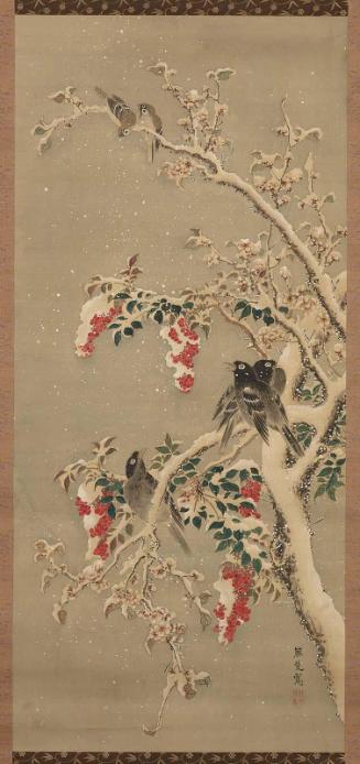 Mynah Birds, Sparrows, and Nandina in Show