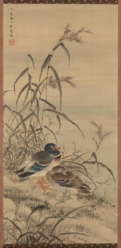 Ducks and Reeds
