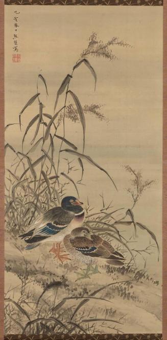 Ducks and Reeds