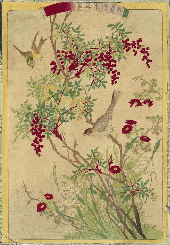Shrike (Mozu) and Black-faced Bunting (Aoji), with Nandina (Nanten), Narcissus (Suisen), and Indian Chrysanthemum (Kangiku), No. 9 from the series Plants and Trees, Flowers and Birds (Sômoku kachô zue)