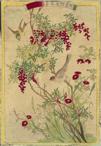 Shrike (Mozu) and Black-faced Bunting (Aoji), with Nandina (Nanten), Narcissus (Suisen), and Indian Chrysanthemum (Kangiku), No. 9 from the series Plants and Trees, Flowers and Birds (Sômoku kachô zue)