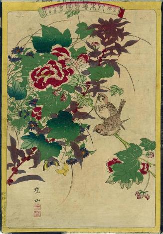 Sparrows (Suzume) and Butterflies (Chô), with Hibiscus (Fûyô), Wild Chrysanthemum (Nogiku), and Amaranthus (Rôshônen), No. 6 from the series Plants and Trees, Flowers and Birds (Sômoku kachô zue)