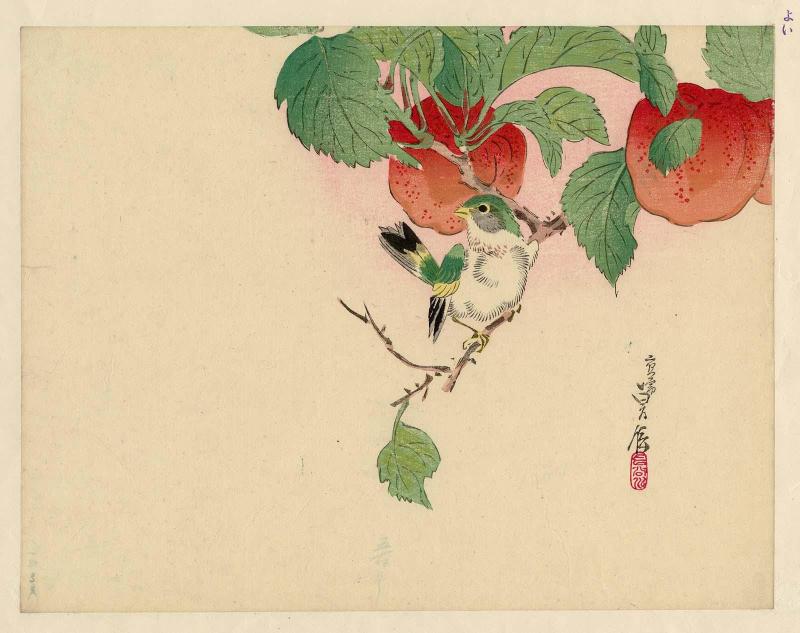 Bird on Branch of Fruit Tree