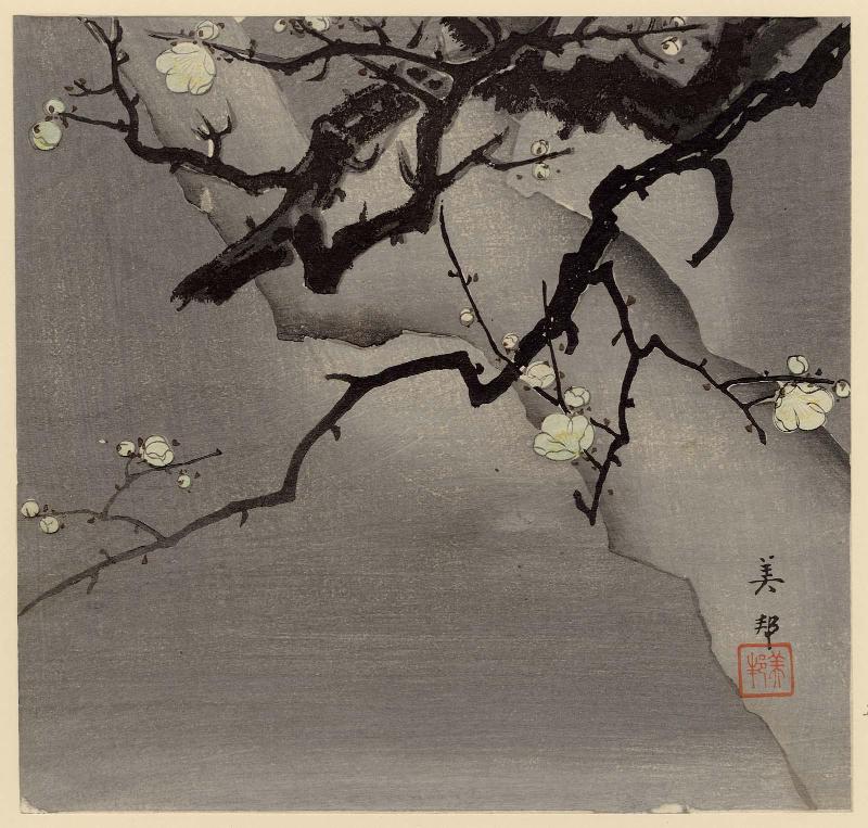 Plum Blossoms at Night
