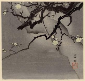 Plum Blossoms at Night