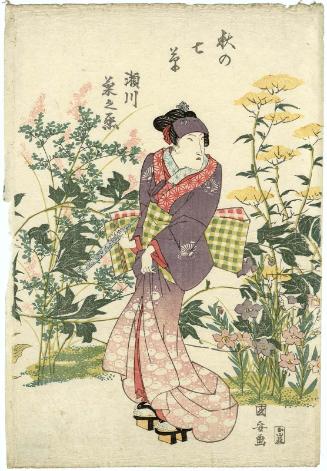 Actor Segawa Kikunojô V and the Seven Plants of Autumn (Aki no nanagusa)