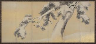 Pine Tree in Snow