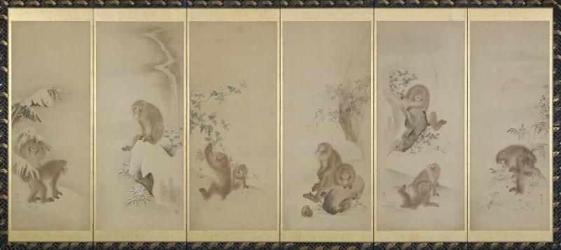 Monkeys