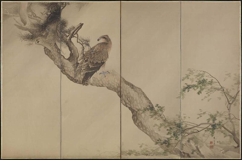 Eagle on Pine Tree