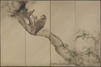 Eagle on Pine Tree
