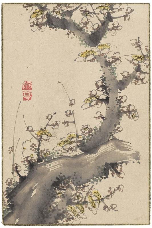Miscellaneous flower sketch (plum blossoms)