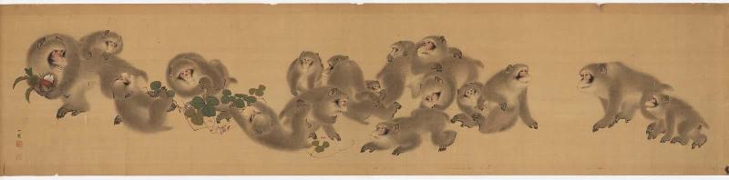 Monkeys
