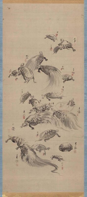 Turtles