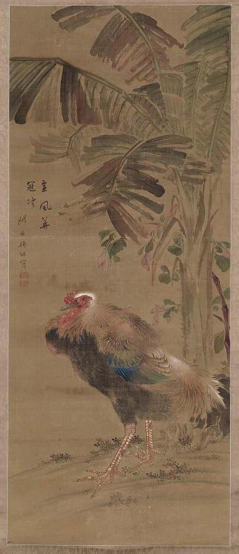 Rooster and Banana Tree