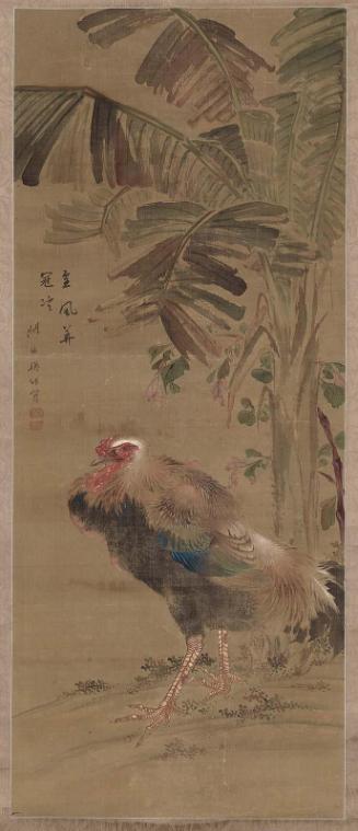 Rooster and Banana Tree